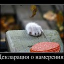 ���� Ginger, ������� - ��������� 11 ���� 2014 � ������ ������ ��������
