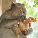 ���� �������, ����-���������, 53 ���� - ��������� 19 ��� 2014 � ������ ������ ��������