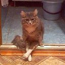 ���� �������, ��������� - ��������� 29 ��� 2014 � ������ ������ ��������