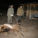 ���� ����, ����, 51 ��� - ��������� 12 ���� 2014