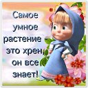 ���� �����, ����� - ��������� 22 ���� 2014 � ������ ���� ����������