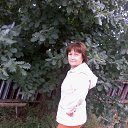 ���� ������, ��������, 69 ��� - ��������� 8 ���� 2014 � ������ ���� ����������