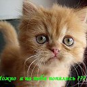 ���� ������, �������� - ��������� 23 ��� 2014 � ������ ������ ��������