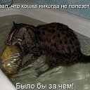  , , 71  -  10  2014     .