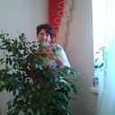 ���� ��������, ������, 54 ���� - ��������� 21 ����� 2014 � ������ ���� ����������