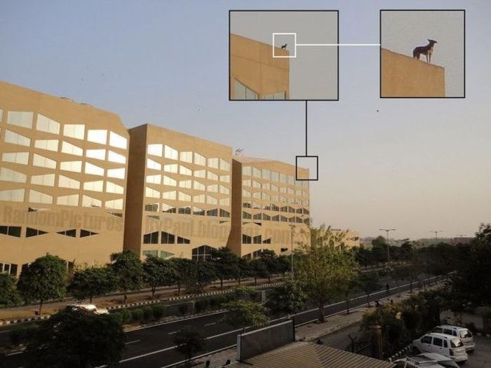 �� ���� ��� ����� ))