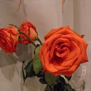 ���� ������, ������������, 48 ��� - ��������� 29 ����� 2014 � ������ ���� ����������