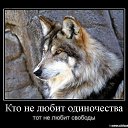 ���� �����, ������ - ��������� 15 ������ 2014 � ������ ���� ����������
