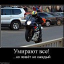  , , 51  -  1  2014    )     )