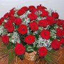 ���� Irina, ������ - ��������� 8 ��� 2014 � ������ ������