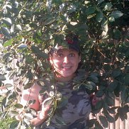 )rfnz), 35 ���, ������