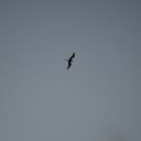 ���� ��������, �����-���������, 65 ��� - ��������� 11 ���� 2014 � ������ ���������� �����