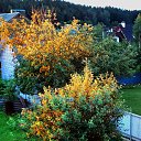 24.06.2014. ������ ����. �� ������� ������Ż