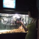 ���� ����, ��������� - ��������� 10 ������� 2014 � ������ ���� ����������