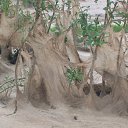 ���� �������, �����-��������, 53 ���� - ��������� 18 ���� 2014 � ������ ����� ������� � ����