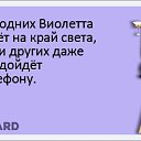 ���� ��������, ������, 57 ��� - ��������� 3 ������ 2014 � ������ ������