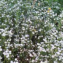 ������ ��� ������� �������.... �� ������� ���� ����������