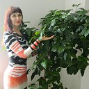 ���� ����, ������, 50 ��� - ��������� 25 ������ 2014 � ������ ���� ����������