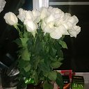 ���� ���, ����������� - ��������� 24 ����� 2014 � ������ ���ZZZZ �������߻