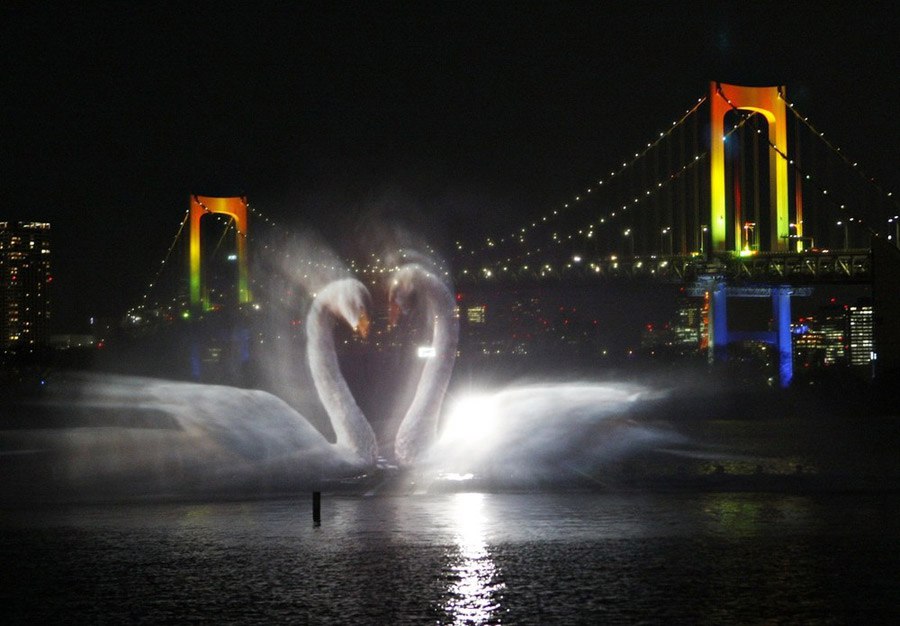 Odaiba water illumination      .   ,   ...