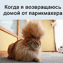 ���� ���������, ����������� - ��������� 30 ����� 2014 � ������ ������ ��������