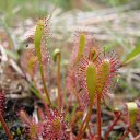 ���� �������, ������ - ��������� 6 ������� 2014 � ������ �1�