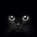 ���� ����, ������, 58 ��� - ��������� 14 ������� 2014 � ������ ���� ����������