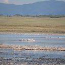 ���� ����, �����������, 55 ��� - ��������� 9 ������� 2014 � ������ ����-�����