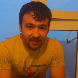 �����, ������, 41 ���