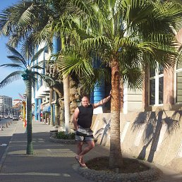 ����, �����������, 43 ����