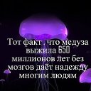 ���� �������, ������, 55 ��� - ��������� 12 ��� 2014 � ������ ������ ������