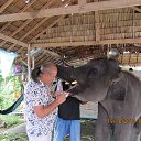 ��� ��� ��! �� �������� �������.