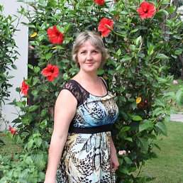 ���� ���������, ������, 53 ���� - ��������� 13 ���� 2014