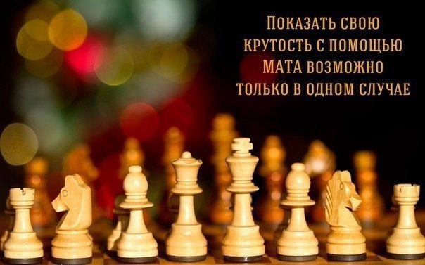   - 24  2014  22:08