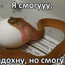 ���� ����, ��������, 52 ���� - ��������� 5 ���� 2014 � ������ ���������
