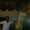 ���� Mehrani, ����, 42 ���� - ��������� 24 ��� 2014 � ������ ���� ����������