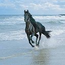 ���� Tatiana, ����������� - ��������� 24 ���� 2014 � ������ ������ ��������