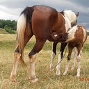 .... �� ������� ���������ʻ