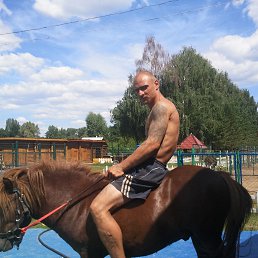 ���� ����, ������, 47 ��� - ��������� 27 ������ 2014