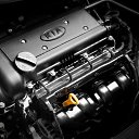 ���� ������, ����������, 53 ���� - ��������� 21 ������ 2014 � ������ ���� ����������