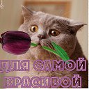  , - -  8  2014    