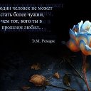 ���� ������ (��������), ����������, 57 ��� - ��������� 31 ����� 2014 � ������ ������ ��������