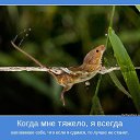 ���� �������, ��������, 59 ��� - ��������� 29 ����� 2014 � ������ ������ ��������