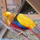 ���� ����, �����, 52 ���� - ��������� 24 ��� 2014 � ������ ��������