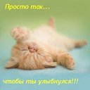 ���� ���������, ������, 38 ��� - ��������� 1 ������ 2014 � ������ ������ ��������