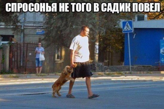 .•°Dogs Forever°•. - 10  2014  20:17