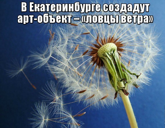 ! fotostrana.ru/public/235283/.  ,      ...