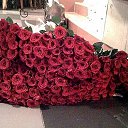 ���� ������4��, ������� - ��������� 21 ���� 2014 � ������ ���� ����������