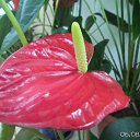 ���� ������, ������, 58 ��� - ��������� 15 ������� 2014 � ������ ���� ����������