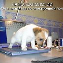 ���� ������, ������, 59 ��� - ��������� 1 ������ 2014 � ������ ������ ��������
